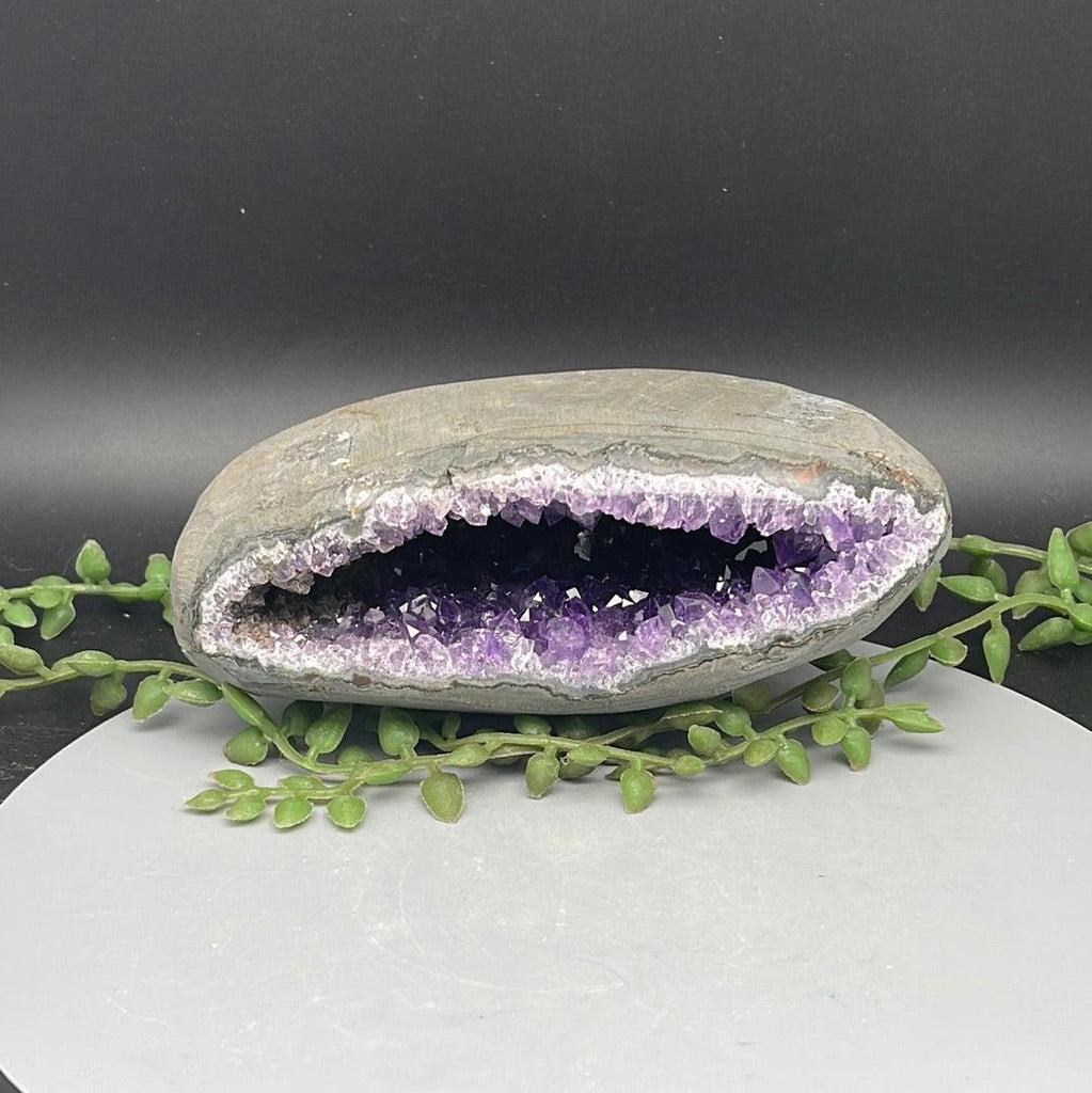 Amethyst Geode - 0.720 kg - Natural Collective LLC