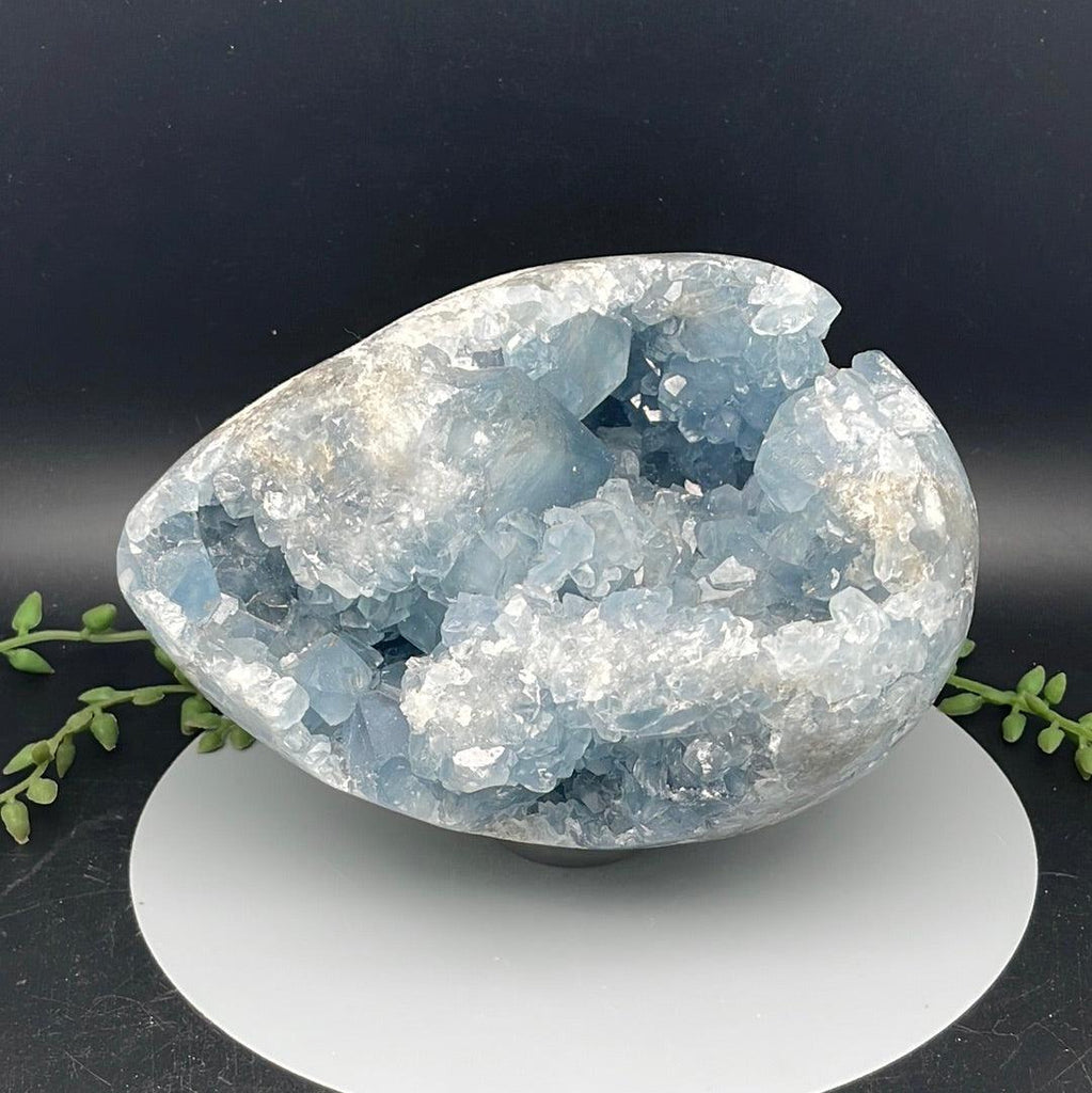 Blue Celestite Geode - 3.860 kg - Natural Collective LLC