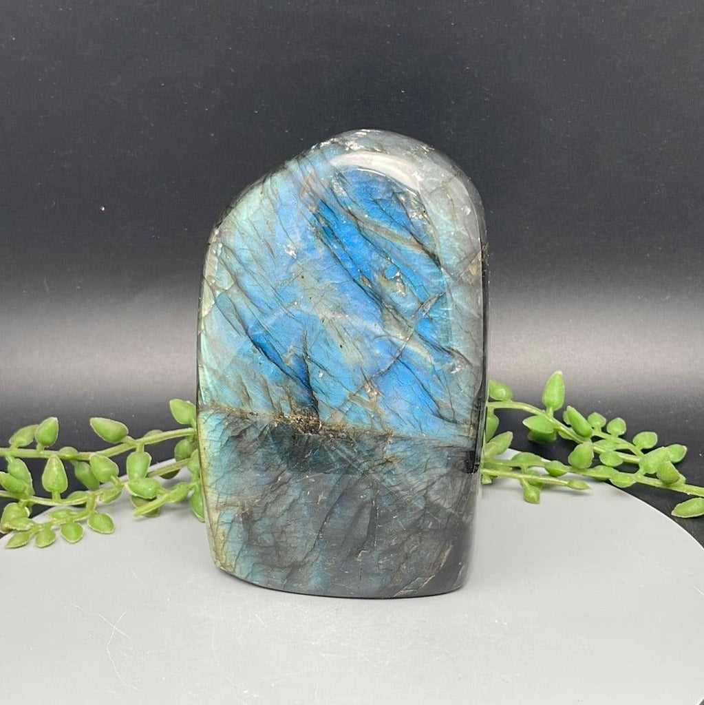 Labradorite Freeform - 980 Grams - Natural Collective LLC