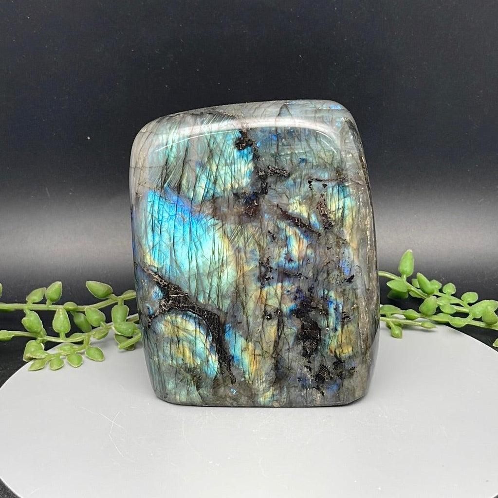 Labradorite Freeform - 1.105 kg - Natural Collective LLC