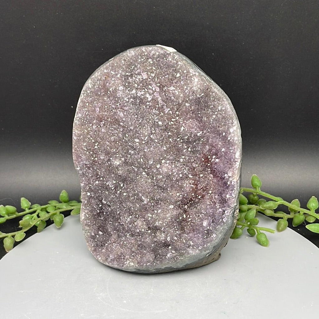 Polished Cut Base Amethyst - 0.950 kg - Natural Collective LLC