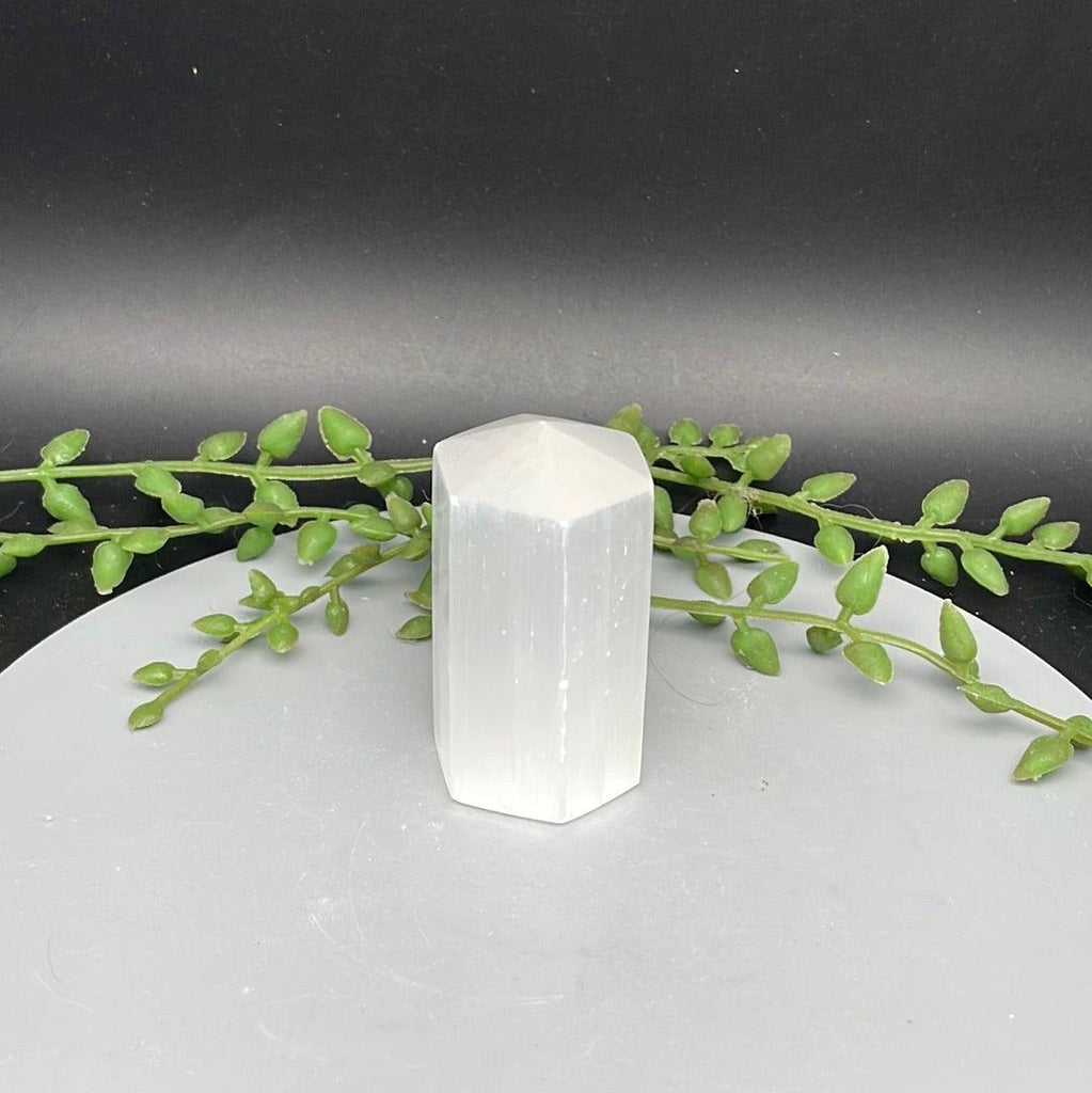 Selenite Generator - 6 cm - Natural Collective LLC