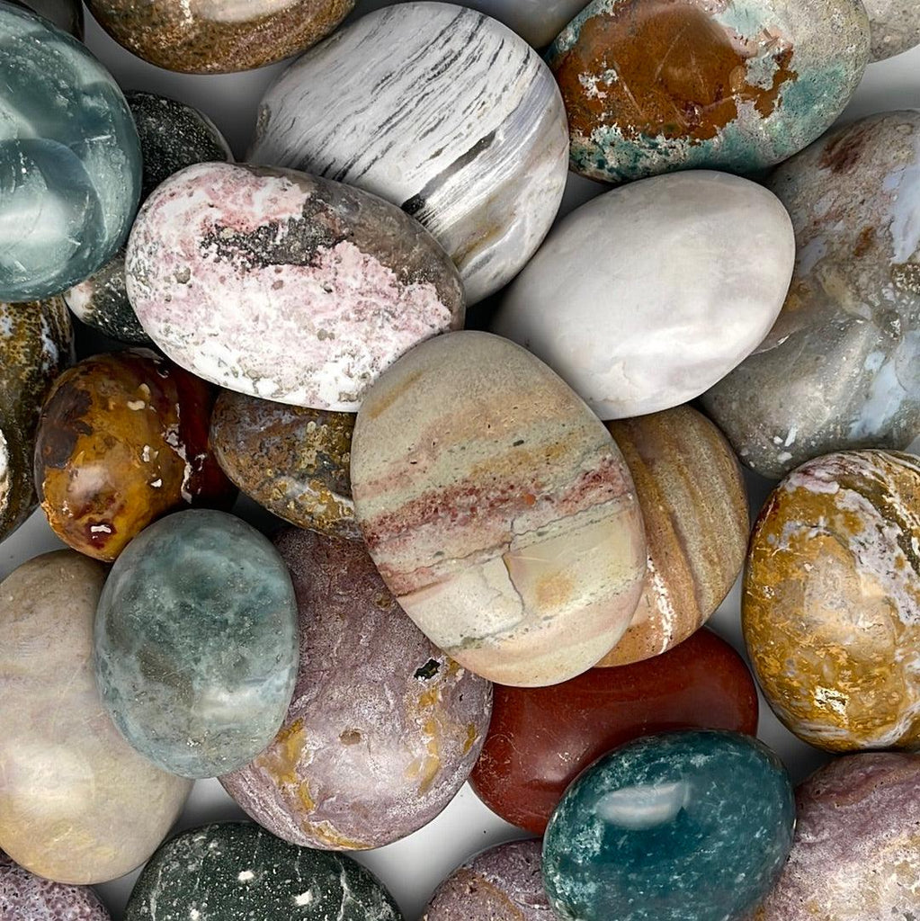 Ocean Jasper Palms - Natural Collective LLC