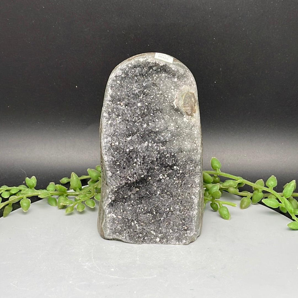 Polished Cut Base Amethyst - 0.475 kg - Natural Collective LLC