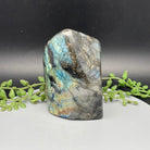 Labradorite Freeform - 605 Grams - Natural Collective LLC