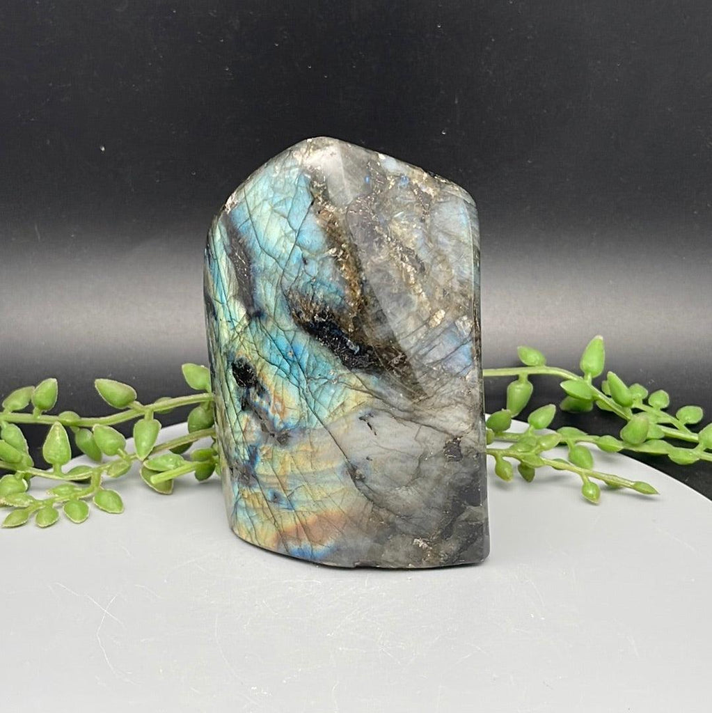 Labradorite Freeform - 605 Grams - Natural Collective LLC