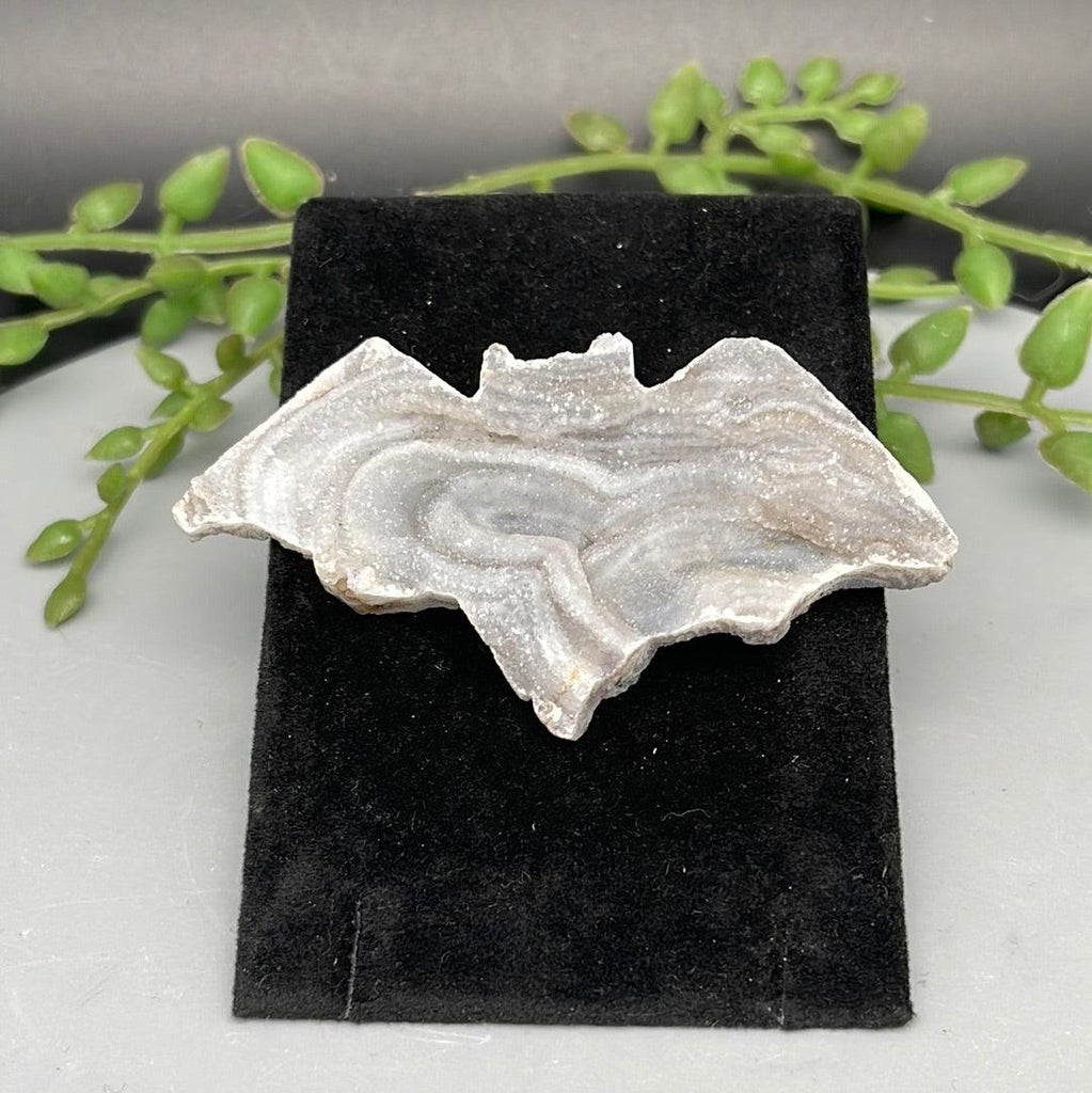 Druzy Agate Bat - Natural Collective LLC