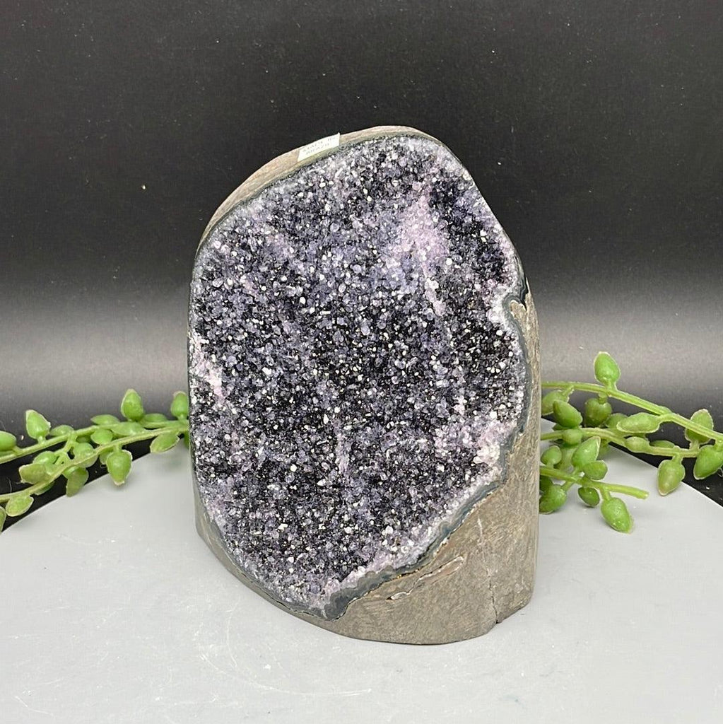 Polished Cut Base Amethyst - 0.700 kg - Natural Collective LLC