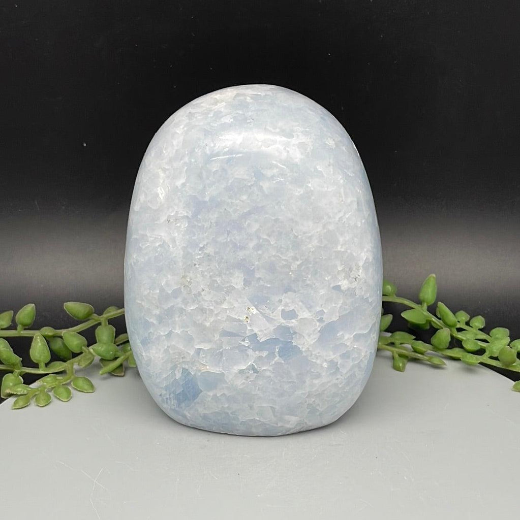 Blue Celestite Freeform - 990 Grams - Natural Collective LLC