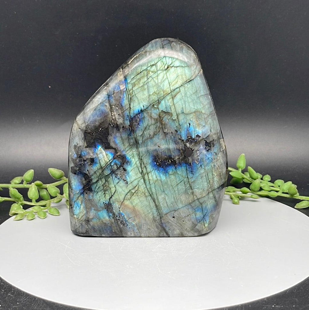 Labradorite Freeform - 1.255 kg - Natural Collective LLC