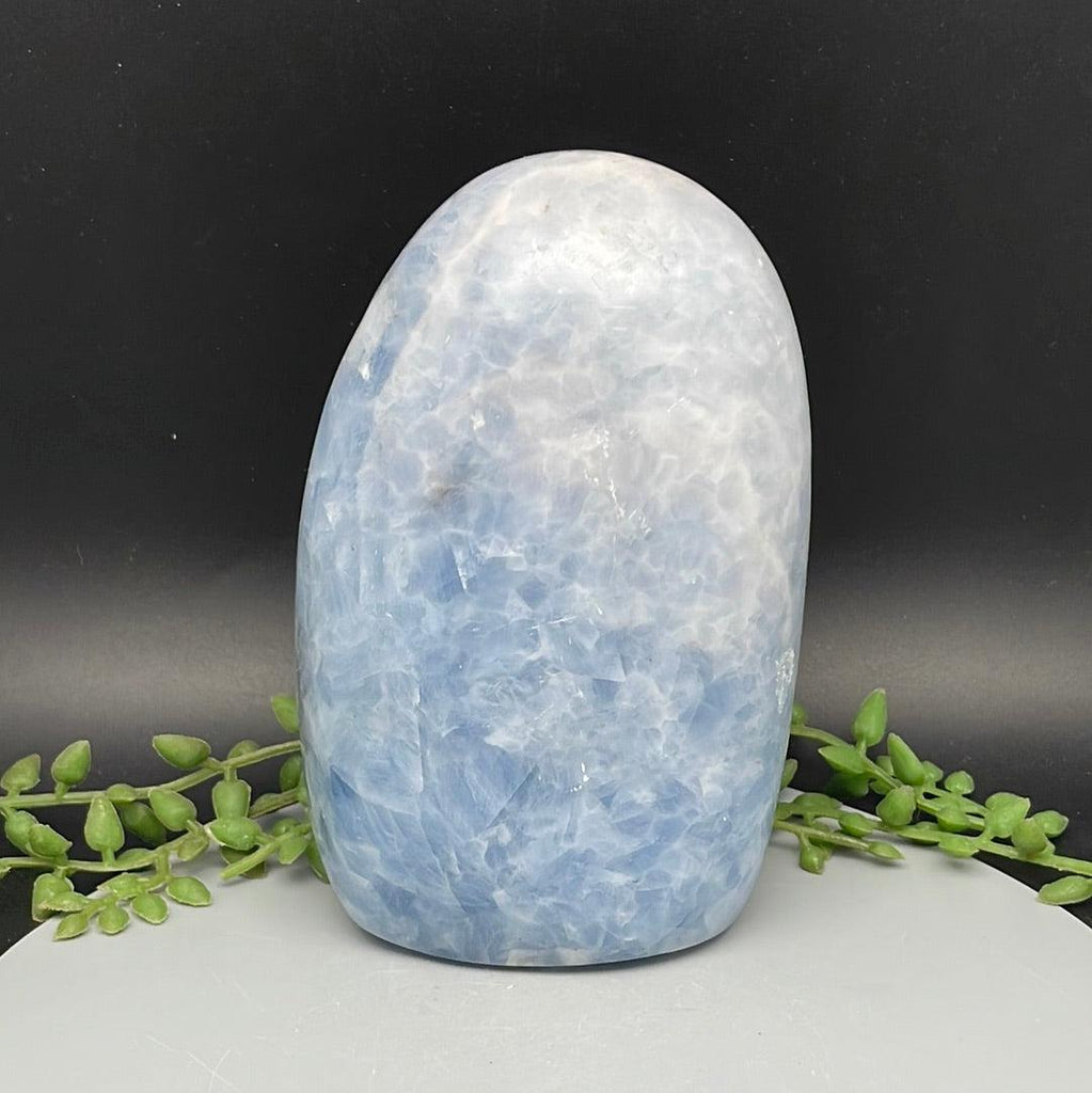 Blue Celestite Freeform - 1.080 kg - Natural Collective LLC