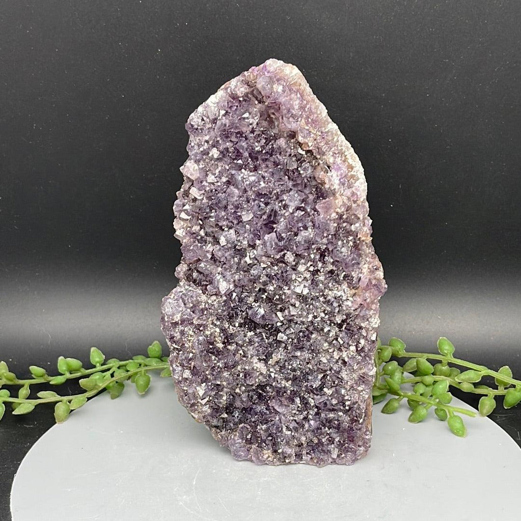 Rough Cut Base Amethyst - 0.790 kg - Natural Collective LLC