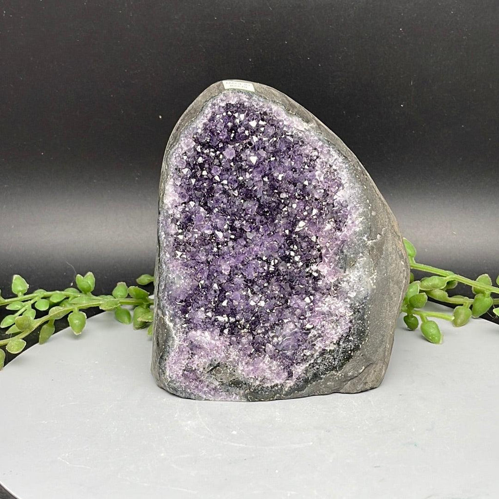 Polished Cut Base Amethyst - 0.660 kg - Natural Collective LLC