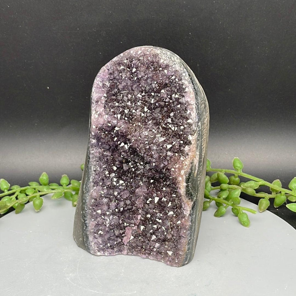 Polished Cut Base Amethyst - 0.840 kg - Natural Collective LLC