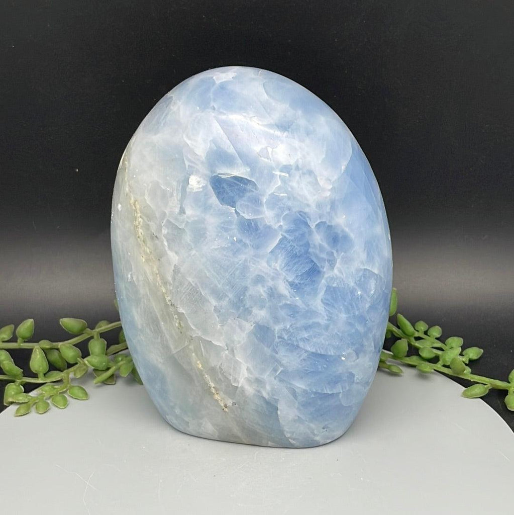 Blue Celestite Freeform - 1.655 kg - Natural Collective LLC