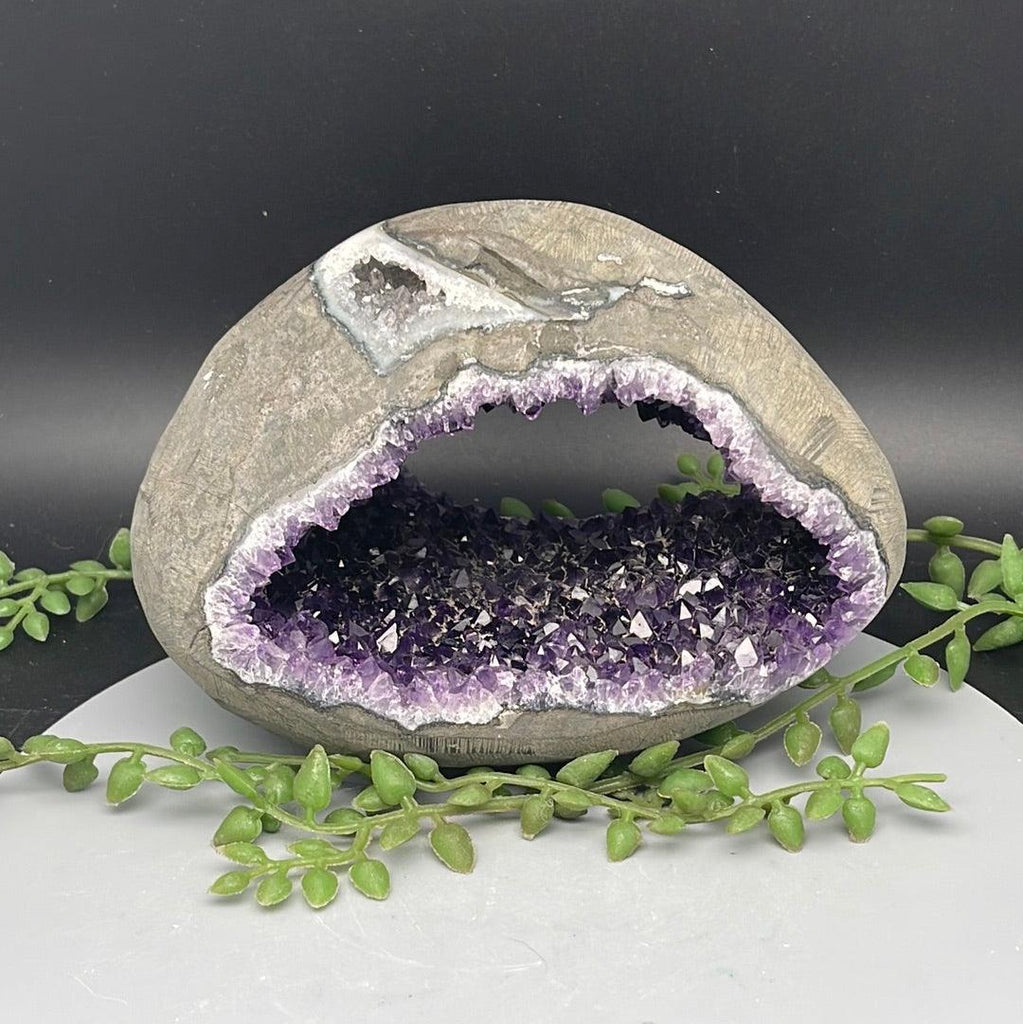 Amethyst Geode - 1.095 kg - Natural Collective LLC