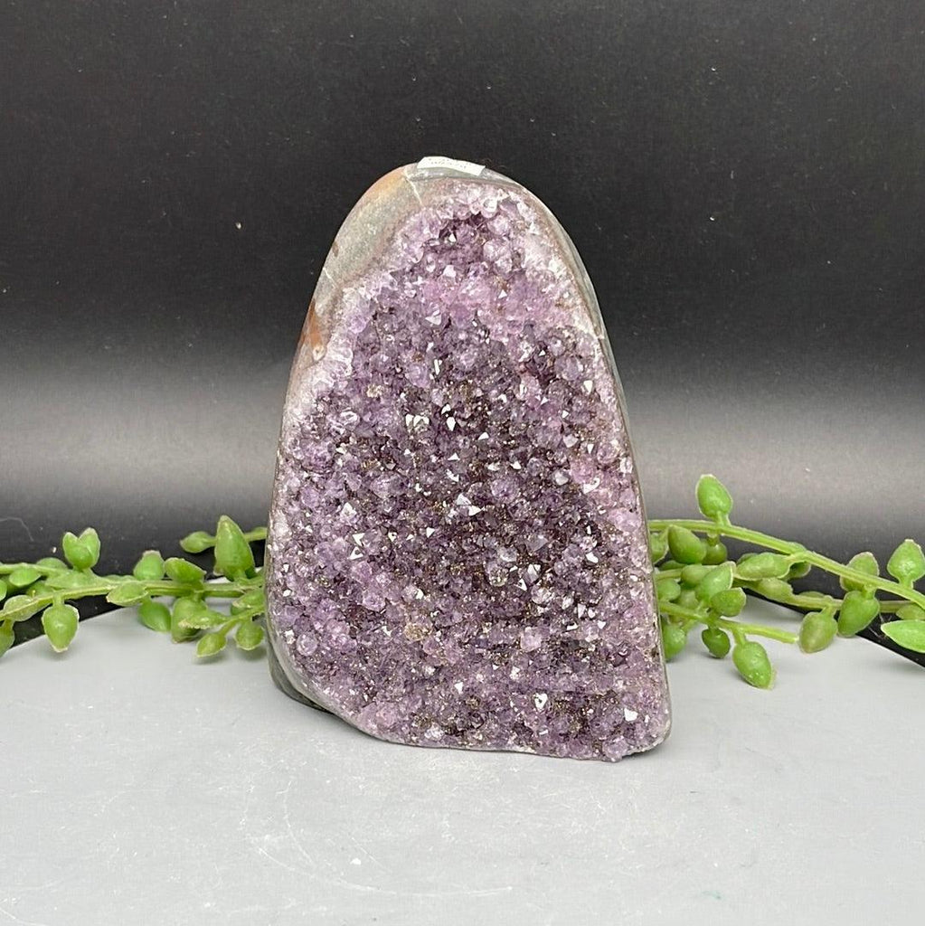 Polished Cut Base Amethyst - 0.455 kg - Natural Collective LLC