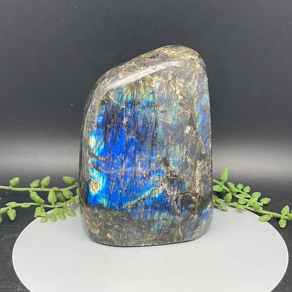 Labradorite Freeform - 1.815 kg - Natural Collective LLC