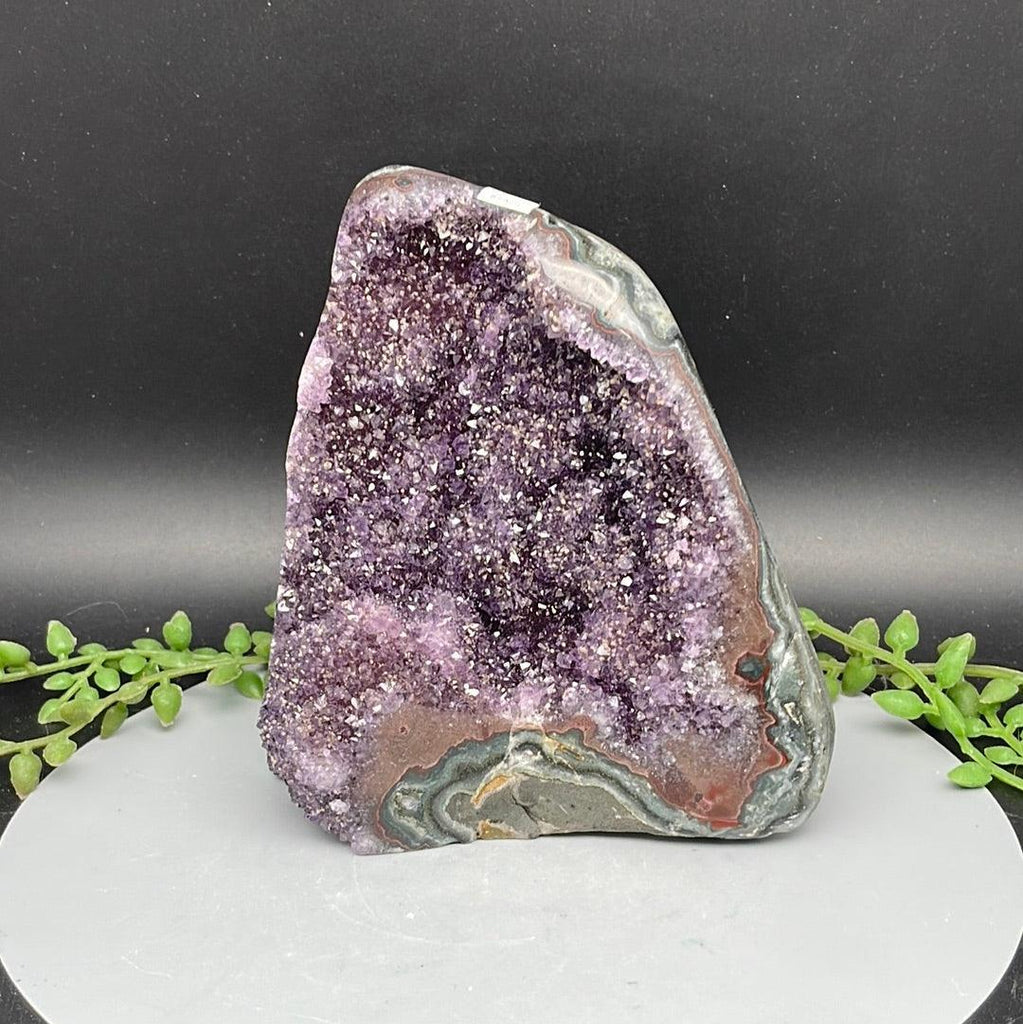 Polished Cut Base Amethyst - 0.970 kg - Natural Collective LLC