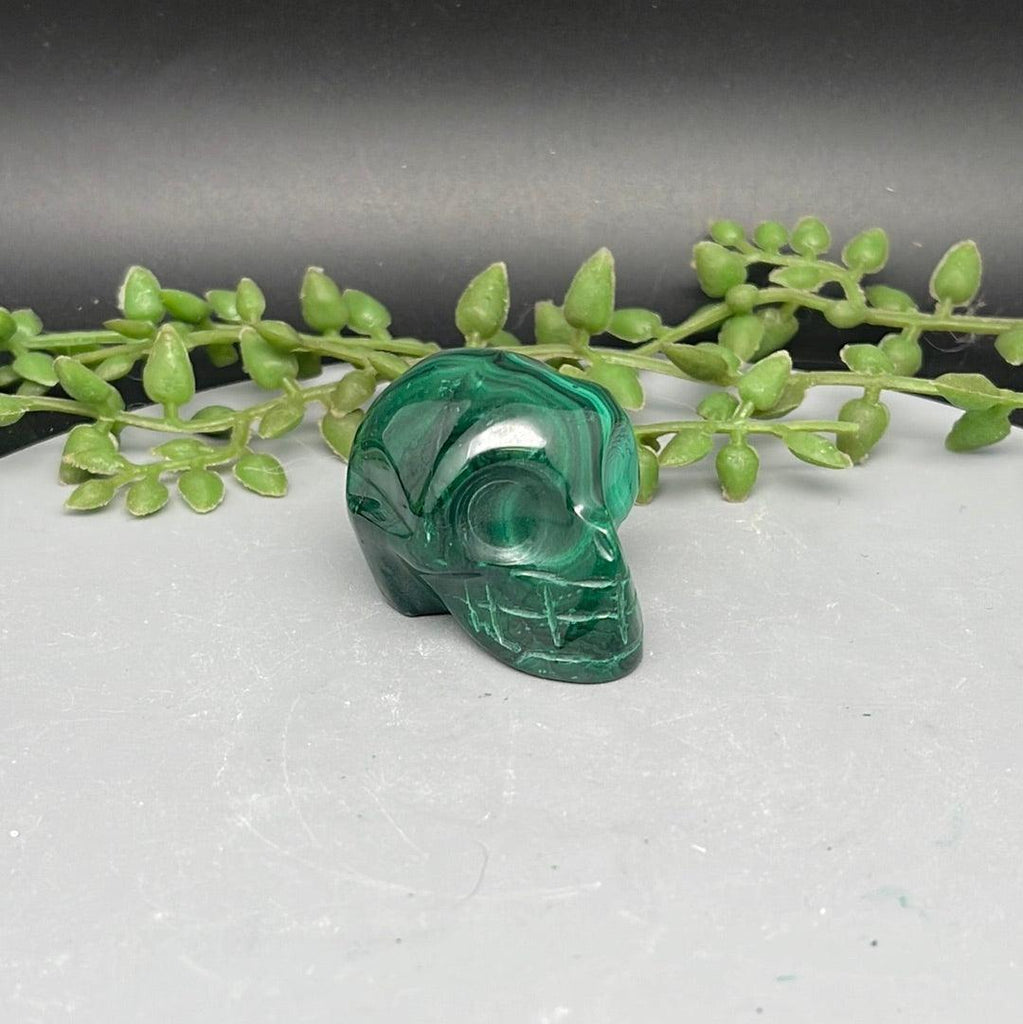 Malachite Skull - 3.2 oz - Natural Collective LLC