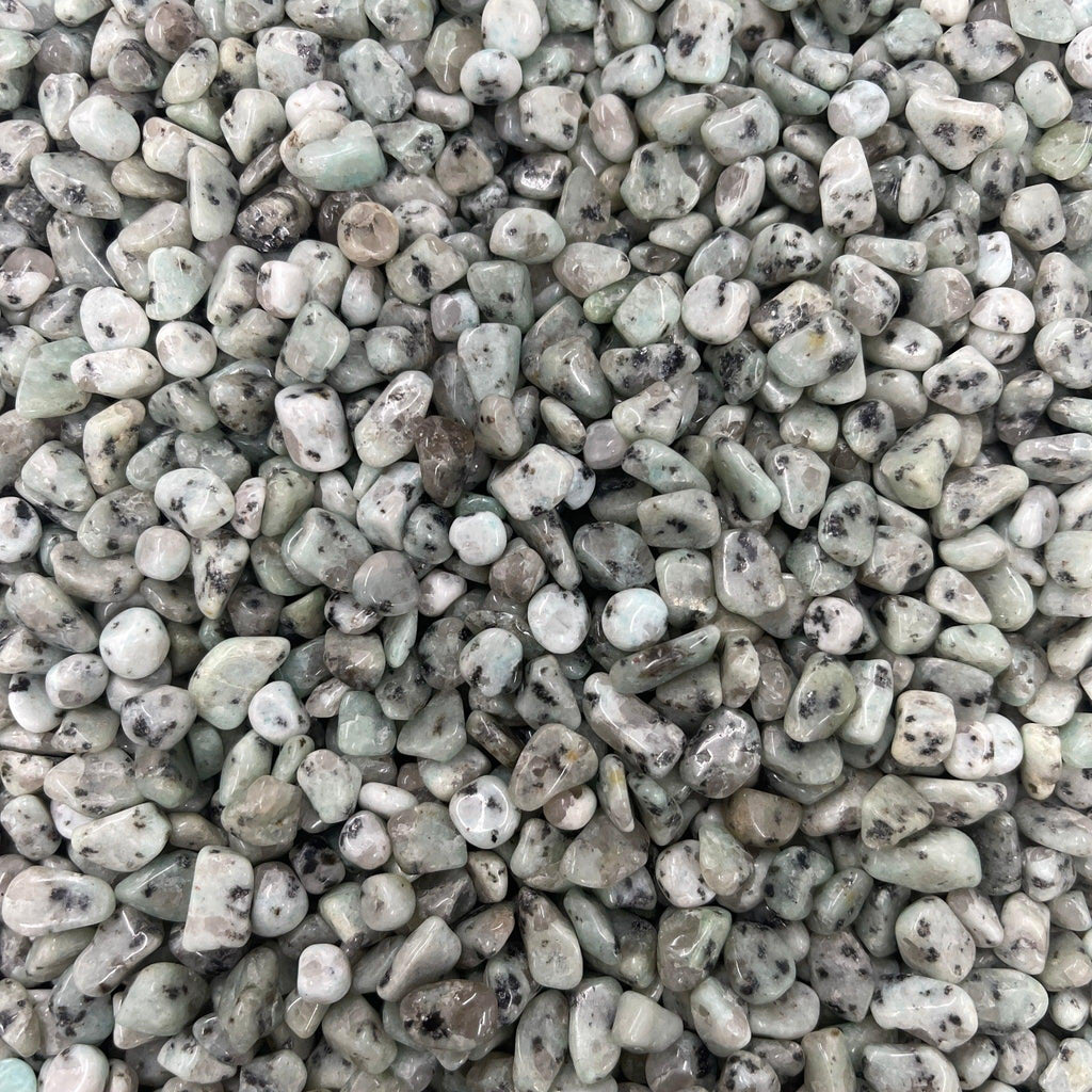 Kiwi Jasper Chips - Natural Collective LLC