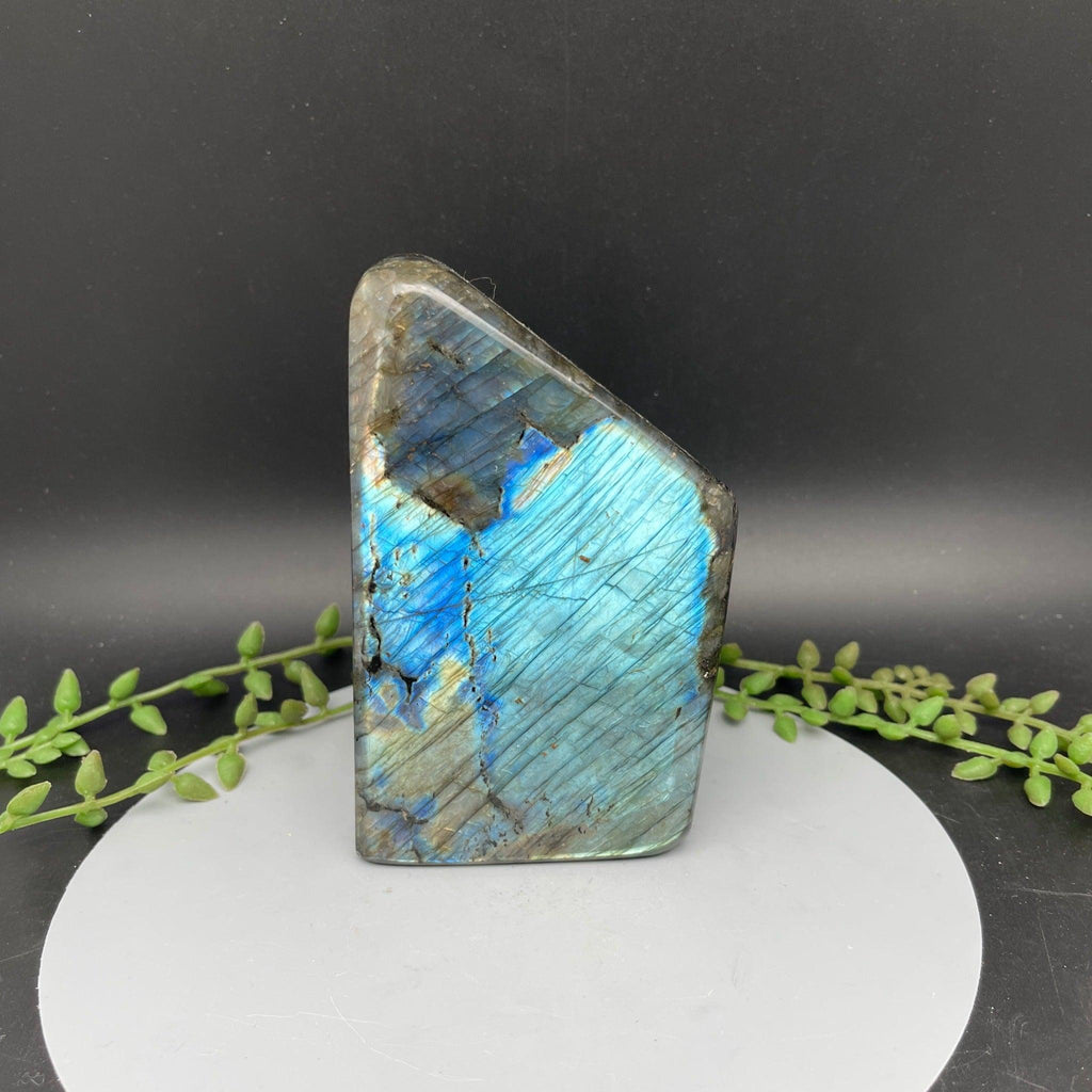 Labradorite Freeform - 1.040 kg - Natural Collective LLC