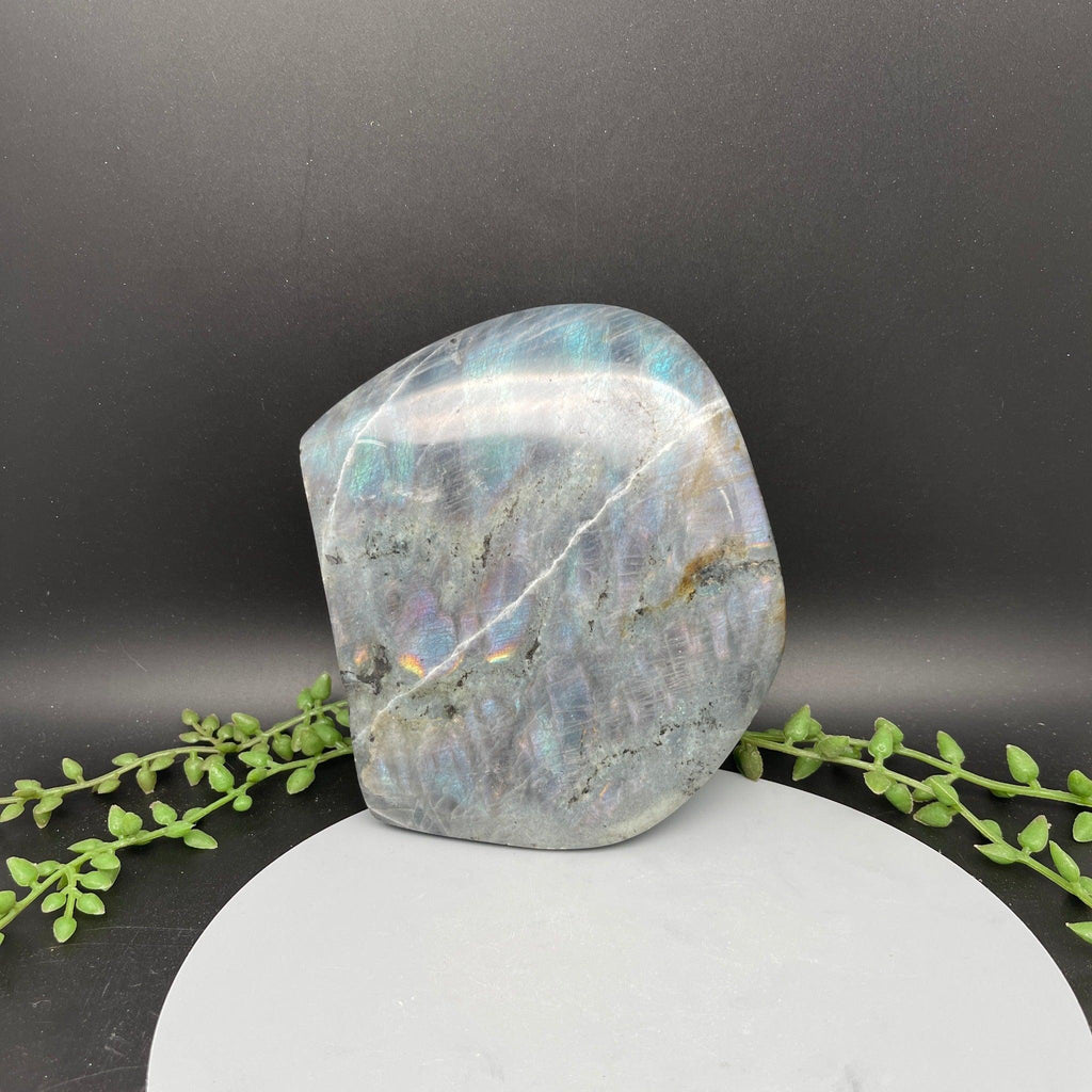 Labradorite Freeform - Natural Collective LLC