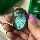Labradorite Palms - Natural Collective LLC