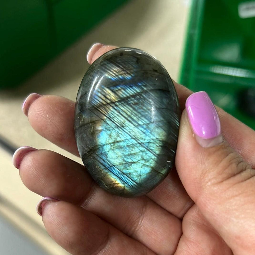 Labradorite Palms - Natural Collective LLC