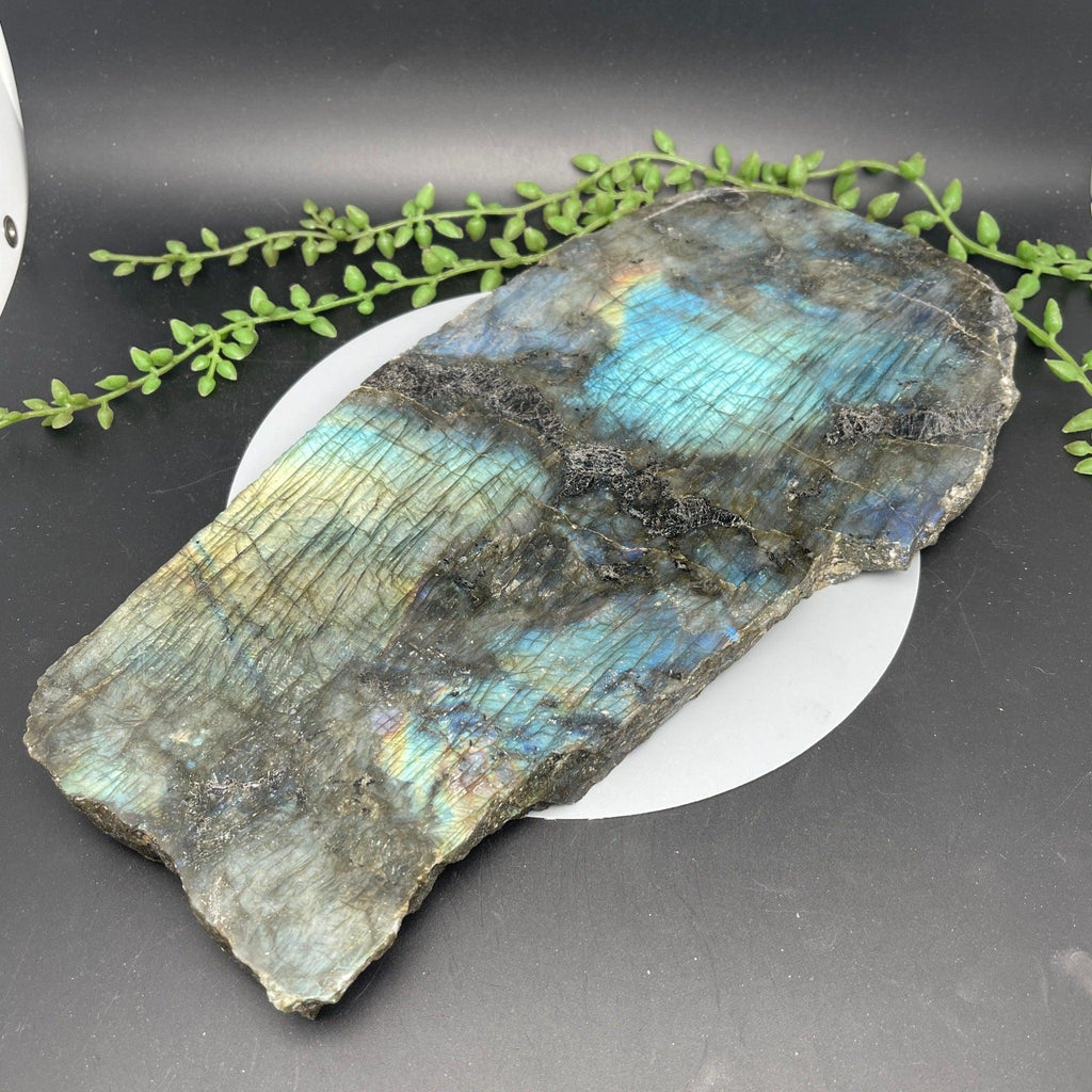 Labradorite Slab - 2.055 kg - Natural Collective LLC