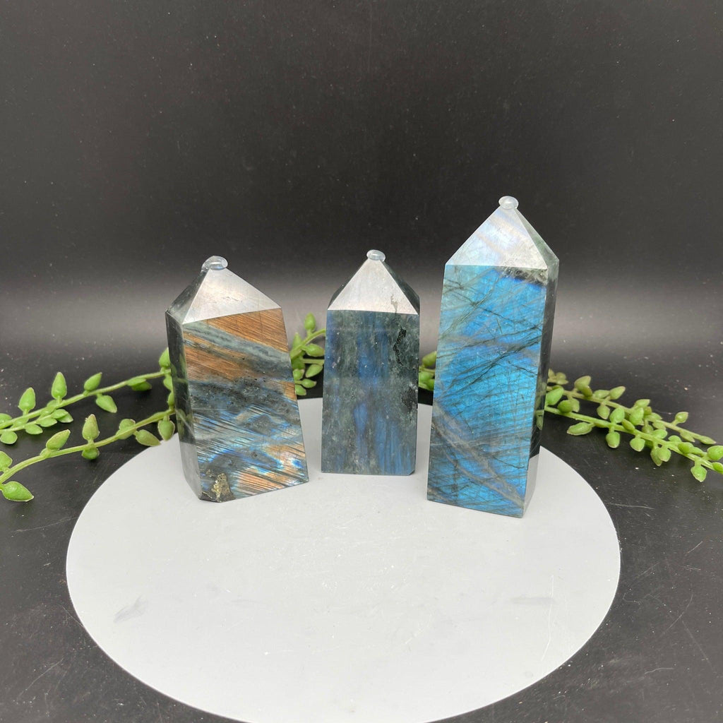 Labradorite Towers - 4 sided - Natural Collective LLC