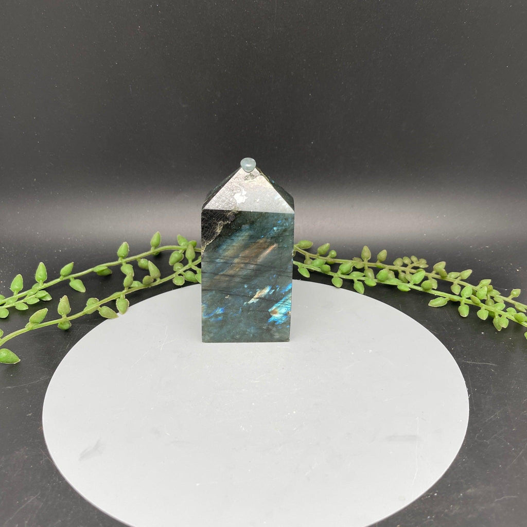 Labradorite Towers - 4 sided - Natural Collective LLC