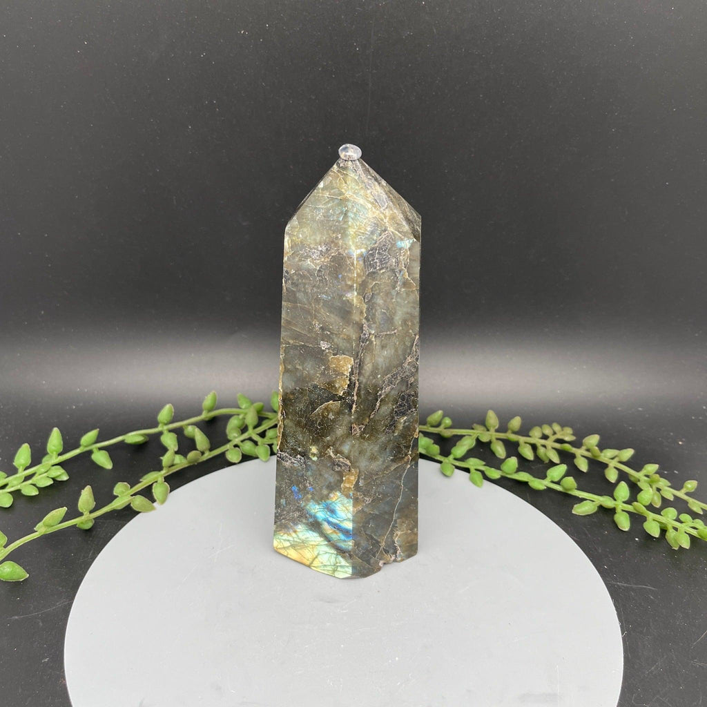 Labradorite Towers - 6 sided - Natural Collective LLC