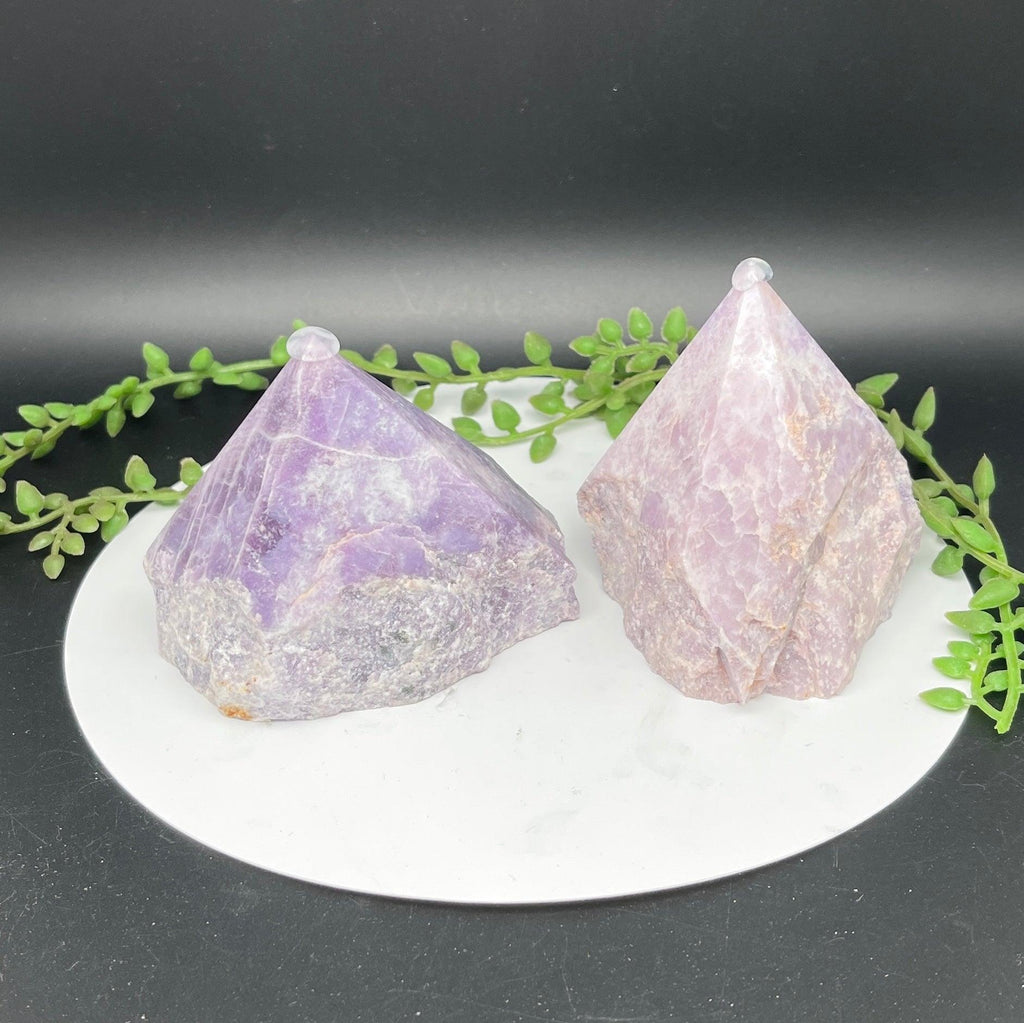 Lepidolite Polished Tops - Natural Collective LLC