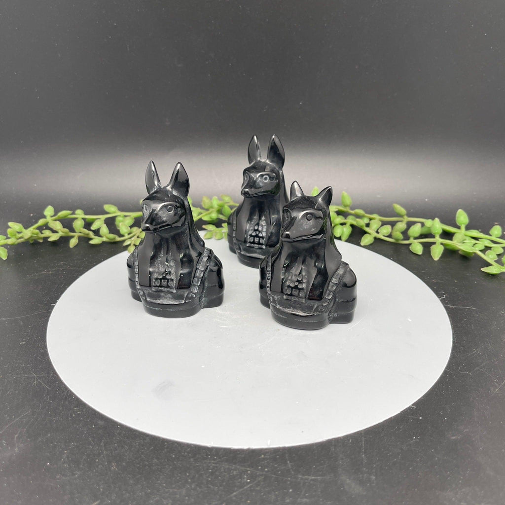 Obsidian Anubis - Natural Collective LLC