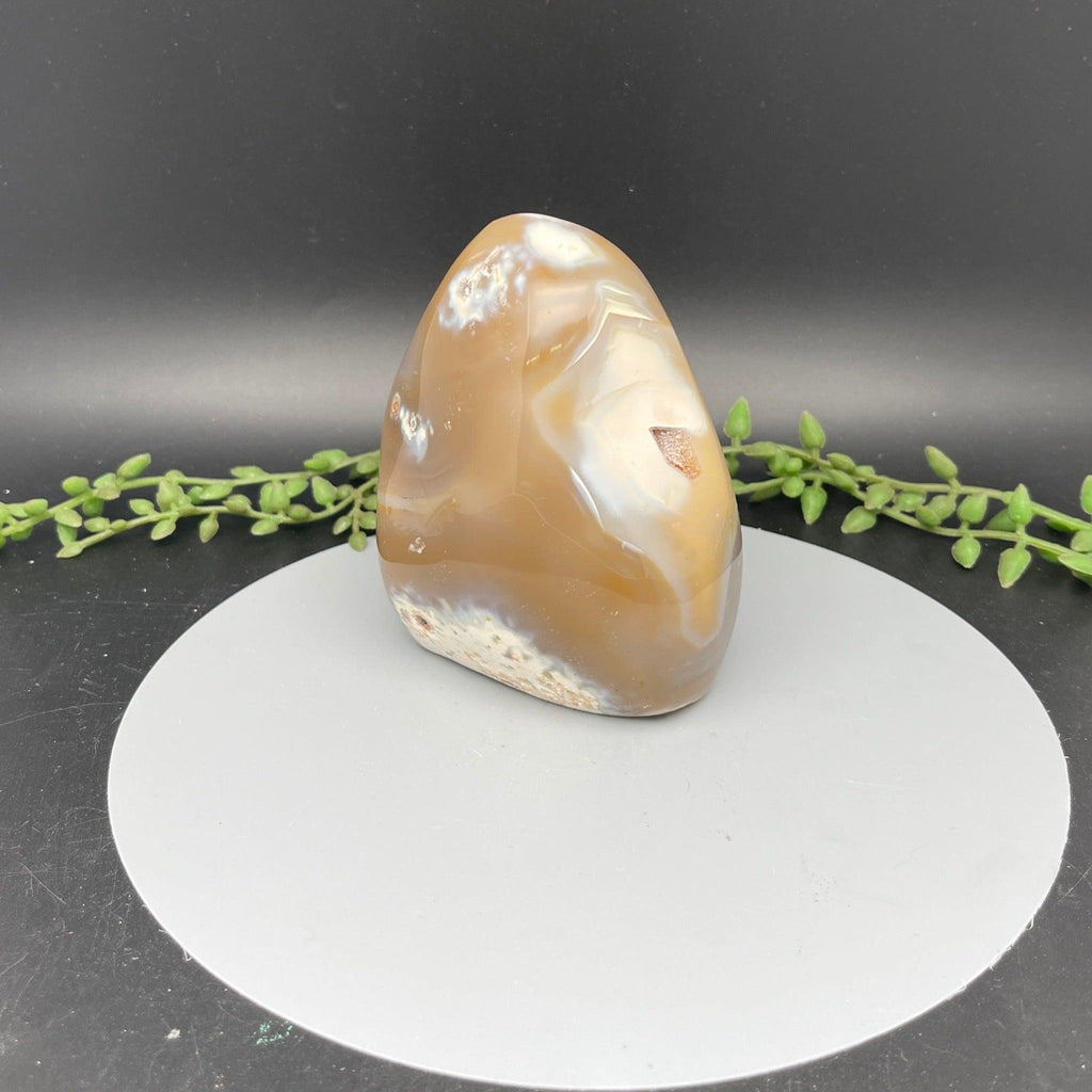 Occo Agate Freeform - Natural Collective LLC