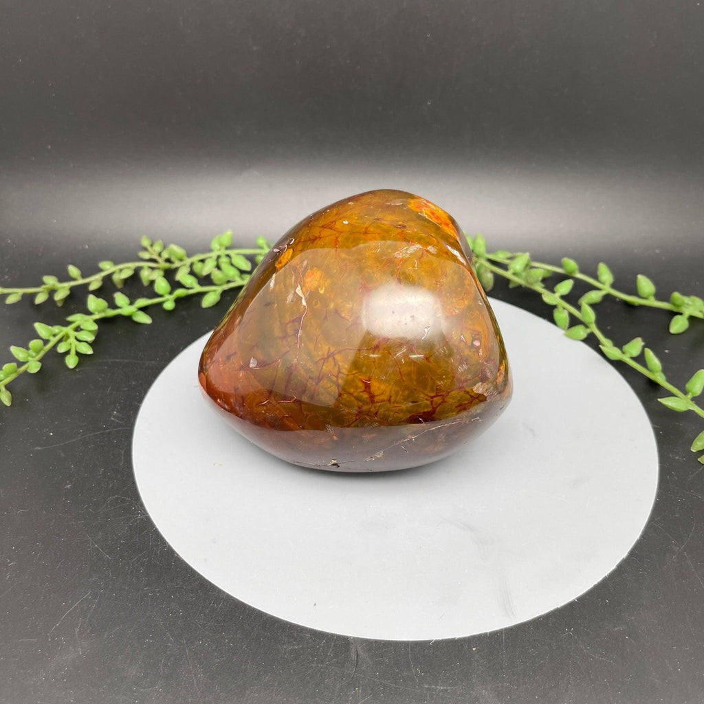 Ocean Jasper Freeform - Natural Collective LLC