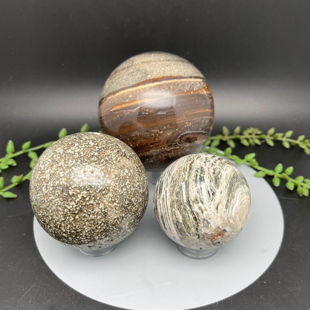 Ocean Jasper Spheres - Natural Collective LLC