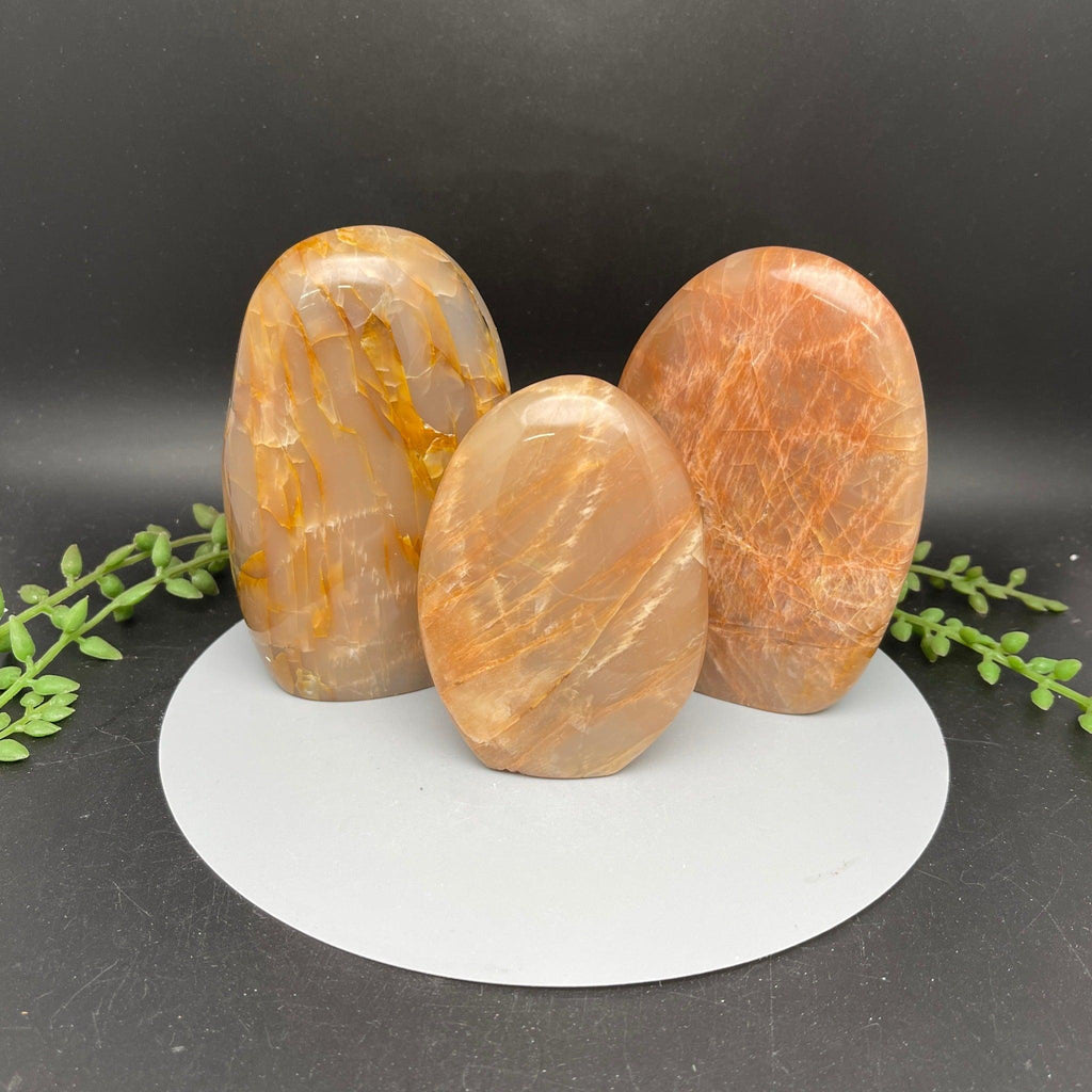 Peach & Grey Moonstone Freeform - Natural Collective LLC