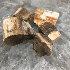 Petrified Wood Roughs - Natural Collective LLC