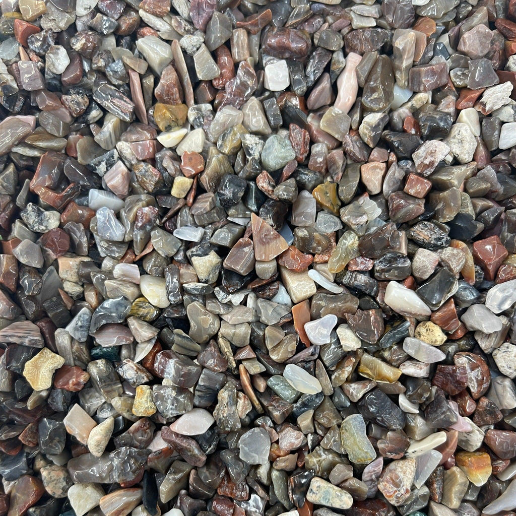 Petrified Wood Chips - Natural Collective LLC