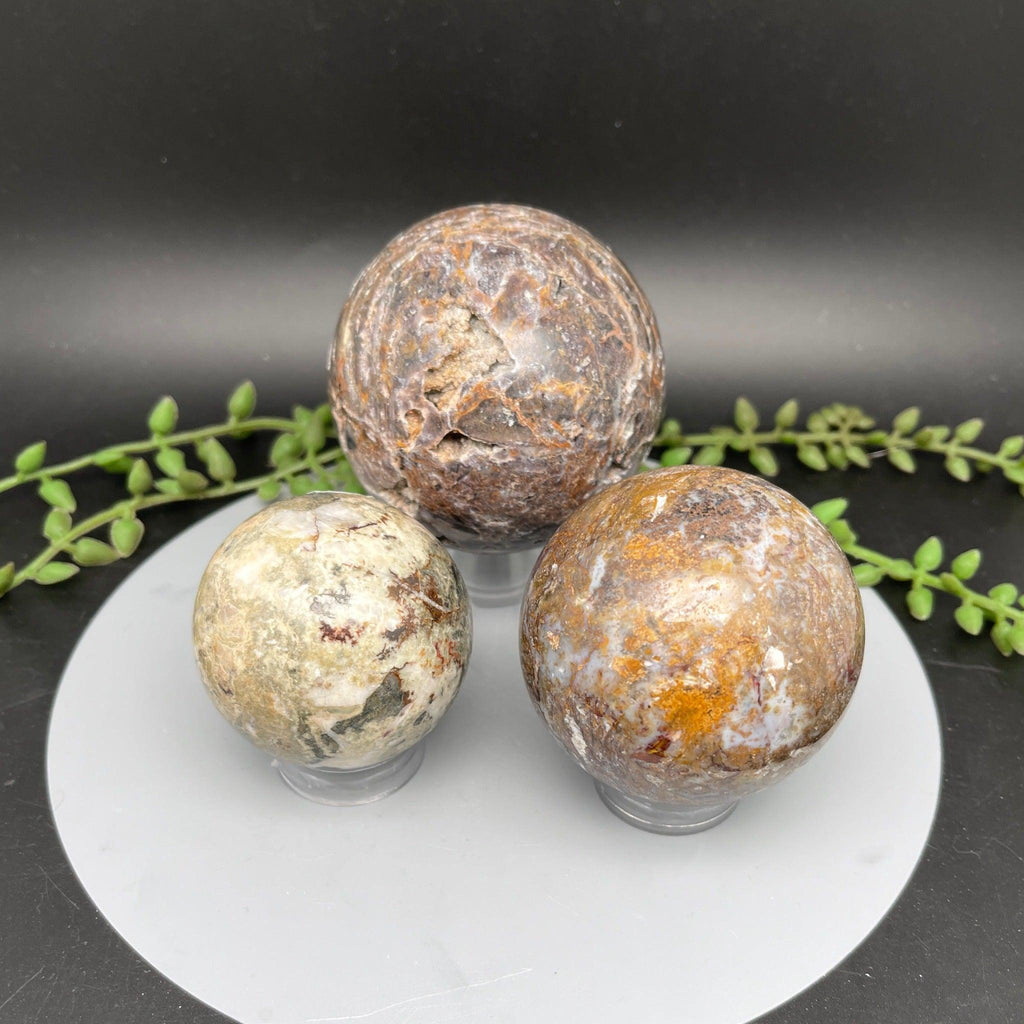 Pietersite Spheres - Natural Collective LLC