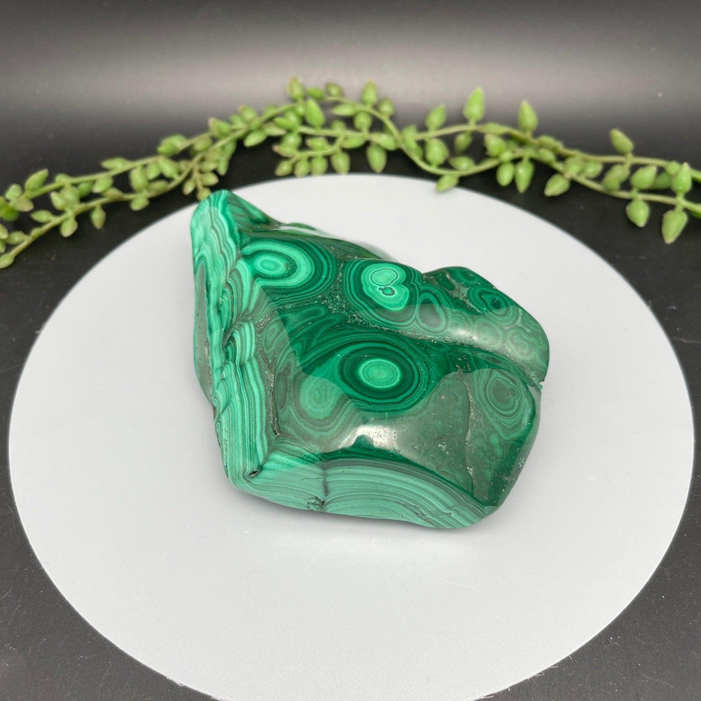 Polished Malachite Freeform - Natural Collective LLC