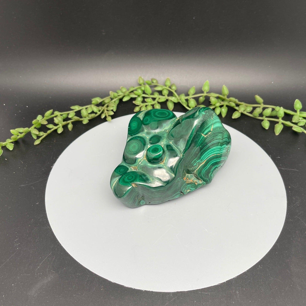 Polished Malachite Freeform - Natural Collective LLC