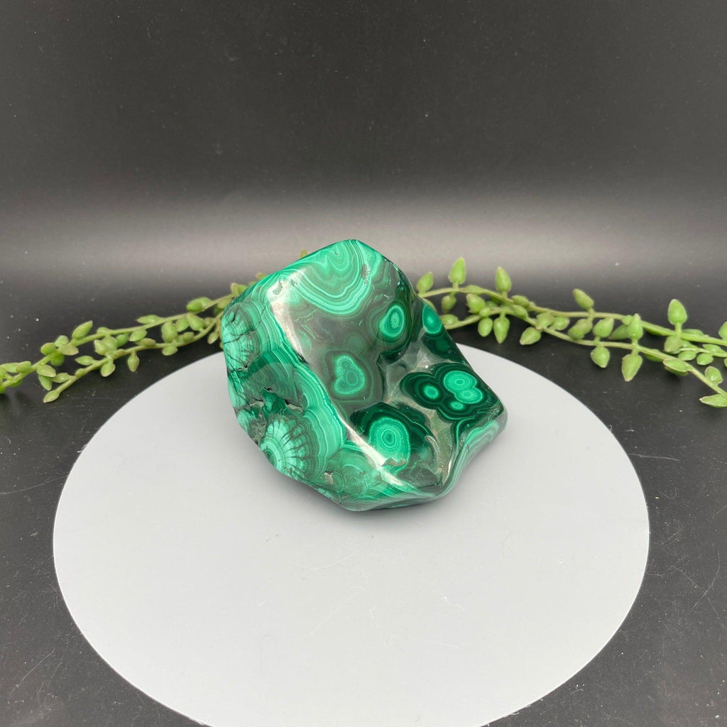 Polished Malachite Freeform - Natural Collective LLC