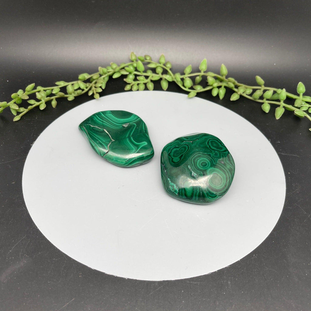 Polished Malachite Freeform - Natural Collective LLC