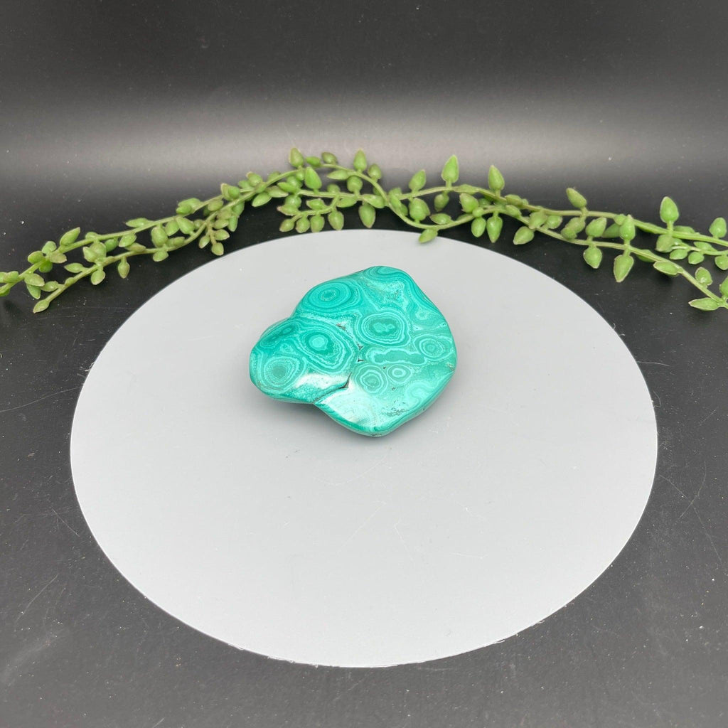 Polished Malachite Freeform - Natural Collective LLC