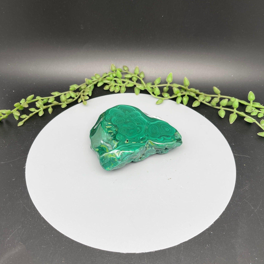 Polished Malachite Freeform - Natural Collective LLC