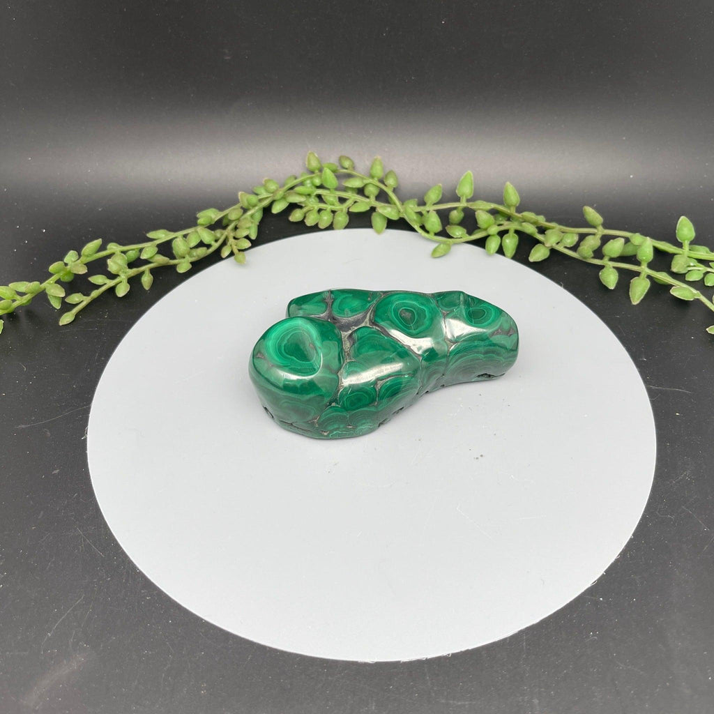 Polished Malachite Freeform - Natural Collective LLC