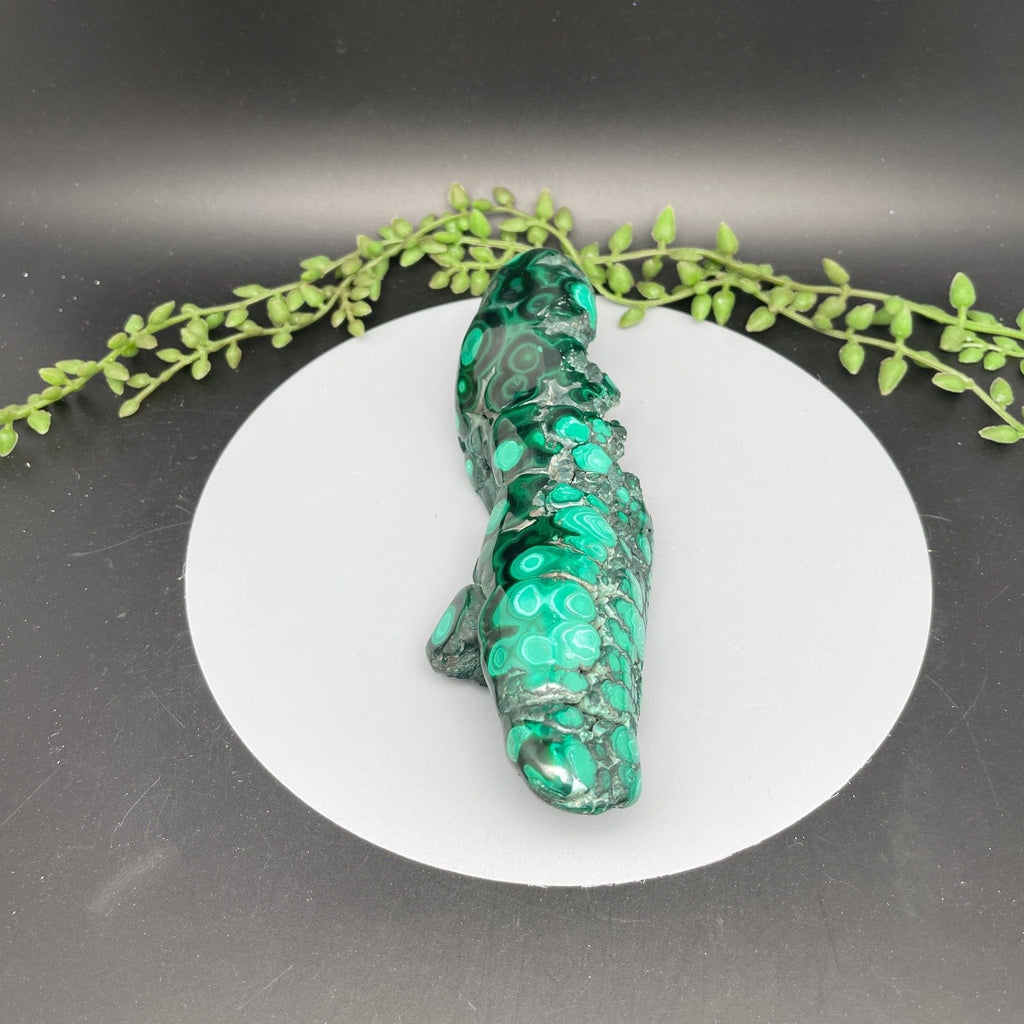 Polished Malachite Freeform - Natural Collective LLC